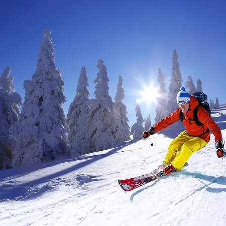 Aloisia, Garni 3* Mariapfarr