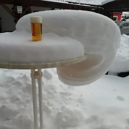 Otel Aloisia, Garni