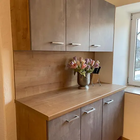 Aloisia, Garni Mariapfarr