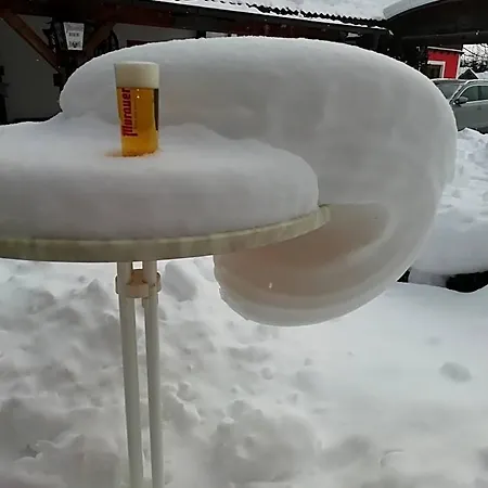Aloisia, Garni Hotel Mariapfarr