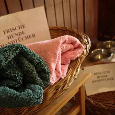 Hotel Aloisia, Garni Mariapfarr