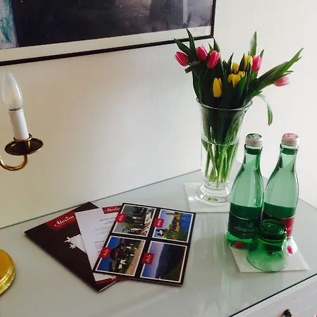 Hotel Aloisia, Garni Mariapfarr