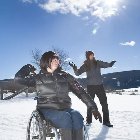 Aloisia, Garni 3* Mariapfarr