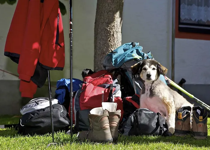 Hotel Aloisia, Garni 3*